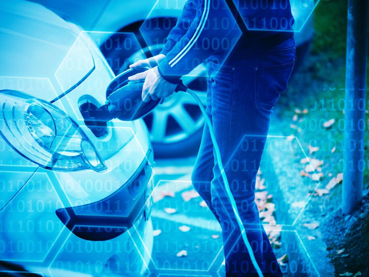 Jak nowoczesne technologie zmieniają wsparcie dla inicjatyw na rzecz zwierząt